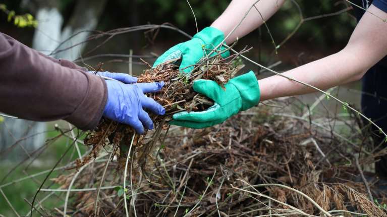 Πότε λήγει η προθεσμία για τον καθαρισμό των οικοπέδων - Με ταχείς ρυθμούς οι δηλώσεις