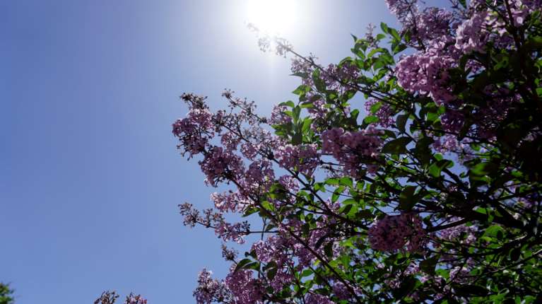 Καιρός: Ανεβαίνει η θερμοκρασία σήμερα Σάββατο - Θα χτυπήσει 25άρια μέχρι τη Μεγάλη Πέμπτη