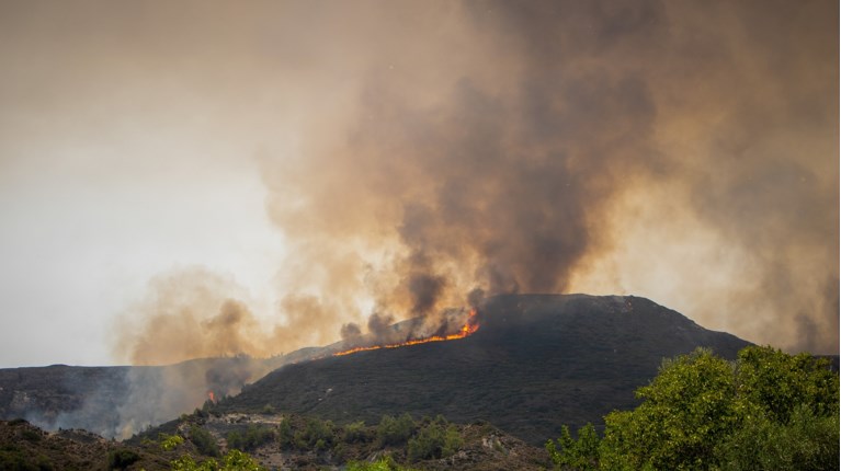 ΡΟΔΟΣ ΦΩΤΙΑ