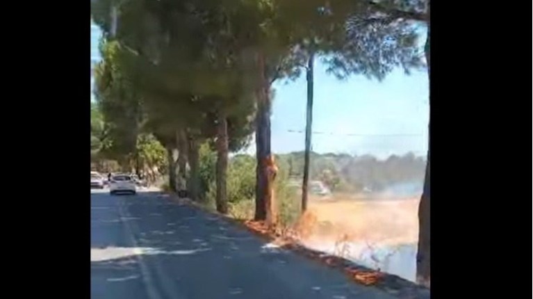 ΦΩΤΙΑ ΛΕΣΒΟΣ