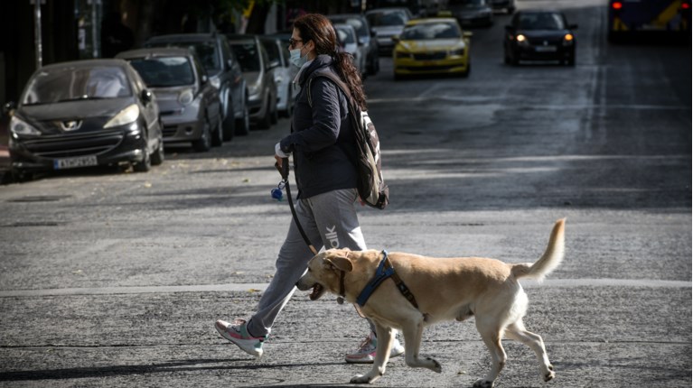 Μετακινηση κατοικιδιο