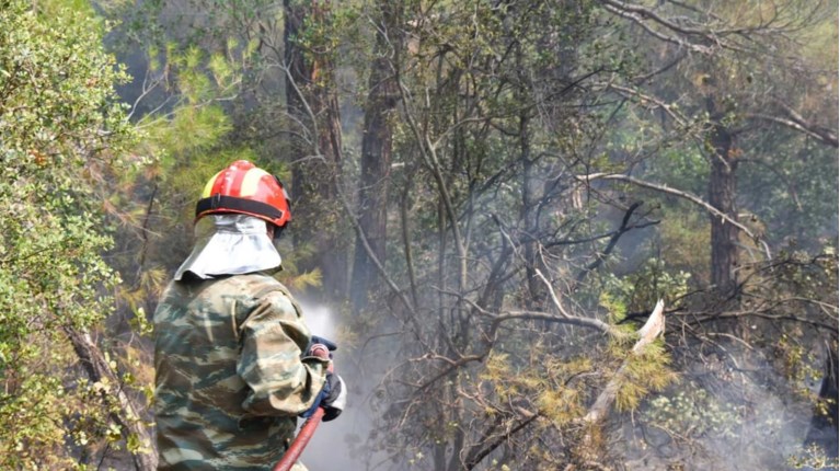 δαδια πυροσβεστης