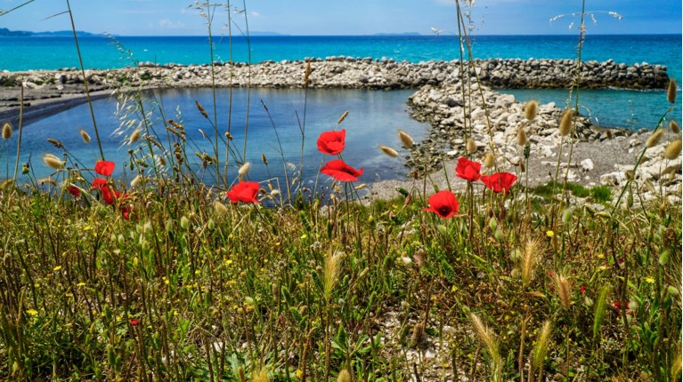 ΖΕΣΤΗ