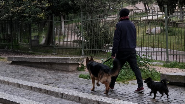 βόλτα κατοικιδιο
