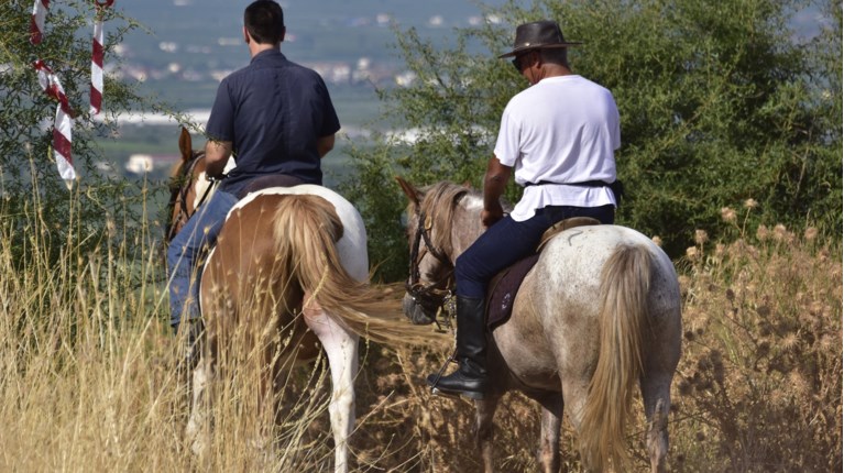 ΑΛΟΓΟ