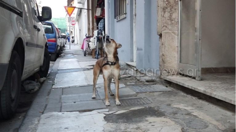 ΣΝΟΥΠΙ_ΧΑΝΙΑ