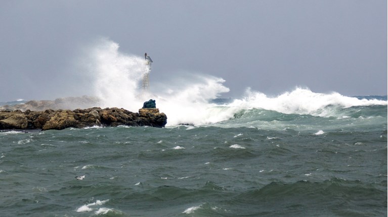 ΡΟΔΟΣ ΒΡΟΧΗ