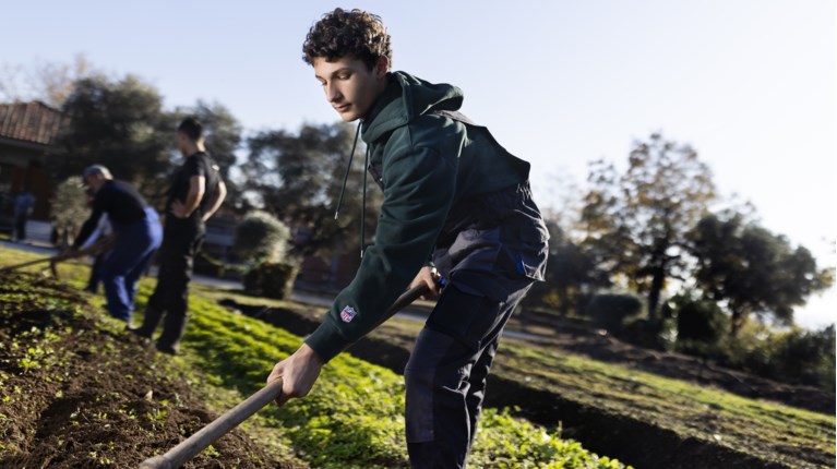 ΑΜΕΡΙΚΑΝΙΚΗ ΓΕΩΡΓΙΚΗ ΣΧΟΛΗ