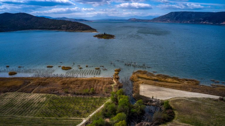 Βεγοριτιδα ψαρας