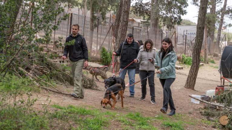 Η Kaizen Gaming κινητοποιεί 200 εθελοντές σε 8 χώρες για την προστασία και την ευημερία των ζώων