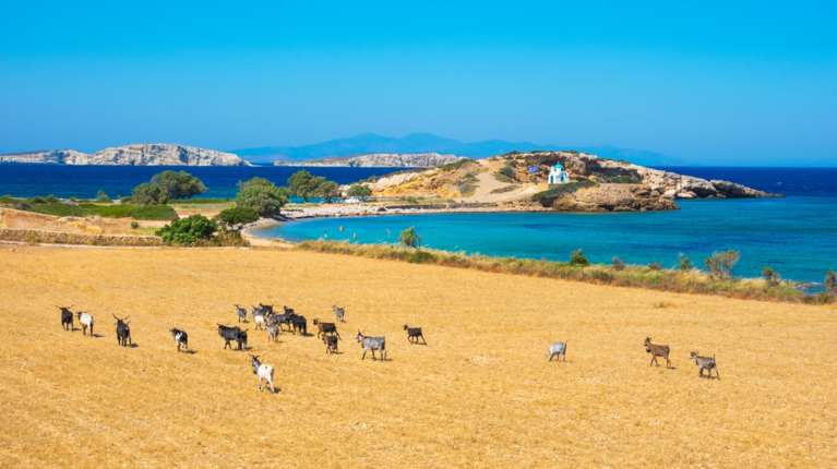Ποιο ελληνικό νησί έχει κλέψει την καρδιά των Ιταλών solo travelers