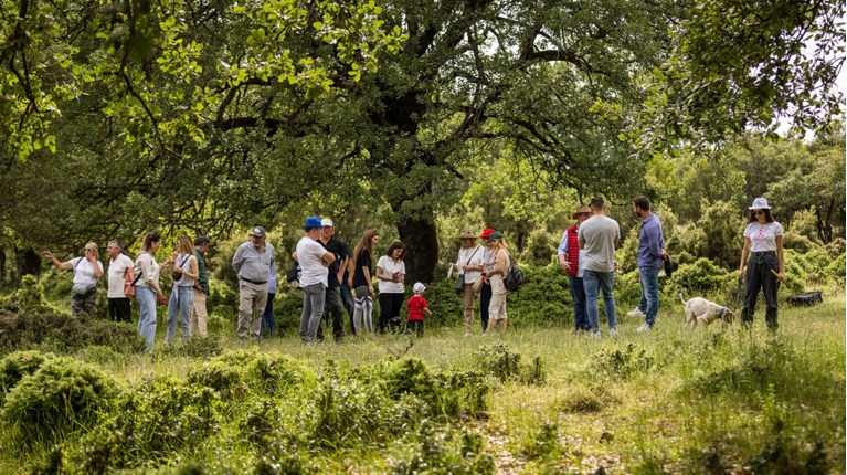 ΔΡΑΣΕΙΣ ΦΥΣΗΣ