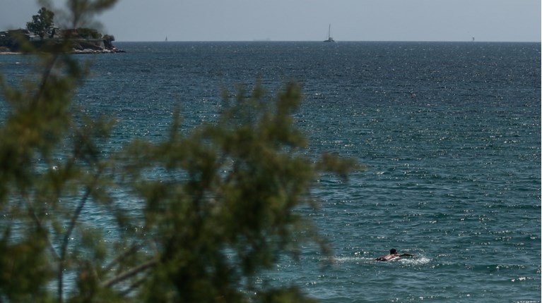 ΑΛΙΜΟΣ ΘΑΛΑΣΣΑ