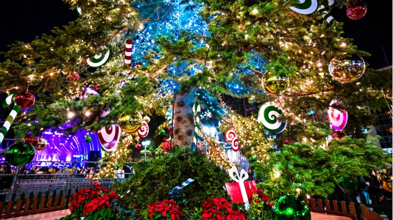 δεντρο συνταγμα