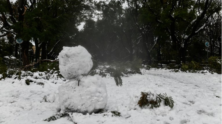 ΧΙΟΝΑΝΘΡΩΠΟΣ