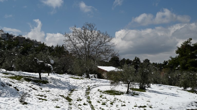 ΧΙΟΝΙΑ
