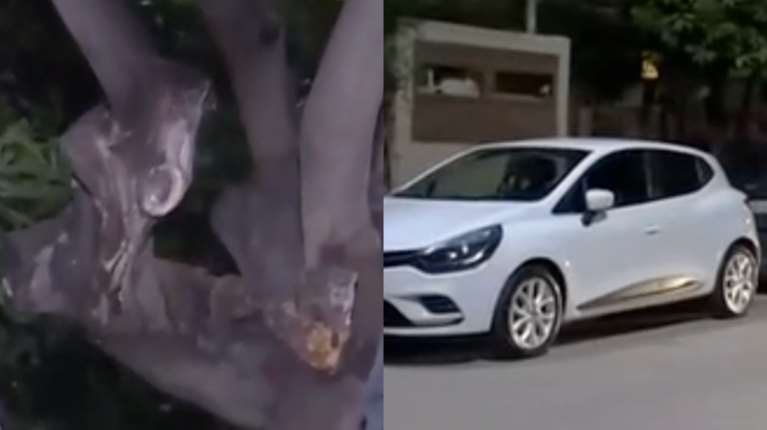 Πώς έγινε η τραγωδία στην Ελευσίνα: Σκότωσε τη μητέρα της μπροστά στα εγγόνια, ενώ τη βοηθούσε να παρκάρει