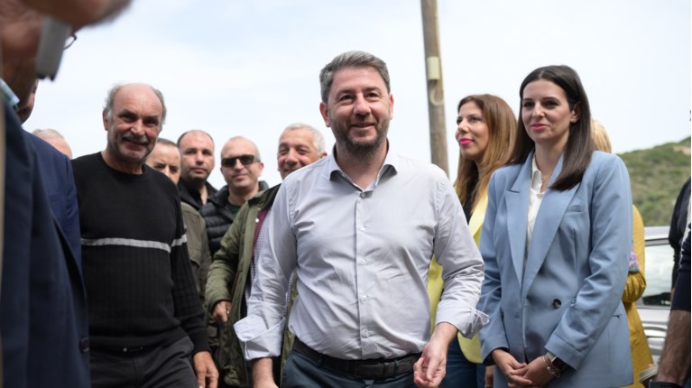 Νίκος Ανδρουλάκης