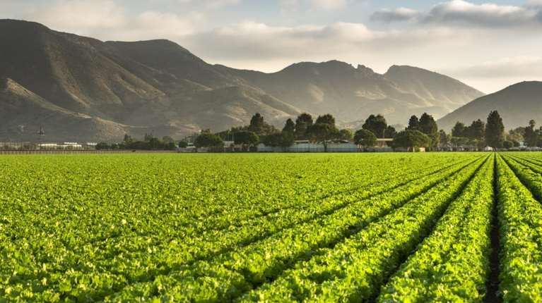 Στον Εισαγγελέα αγρότες που έγραφαν και έσβηναν χωράφια από το Ε9 - Λίστα με 3.000 "ιδιοκτήτες" για επιδοτήσεις