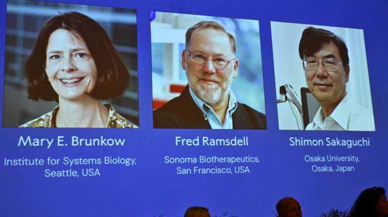 Νόμπελ Ιατρικής 2025: Σε έναν Ιάπωνα και δύο Αμερικανούς ερευνητές για το πώς το ανοσοποιητικό σύστημά μας πολεμά τα μικρόβια