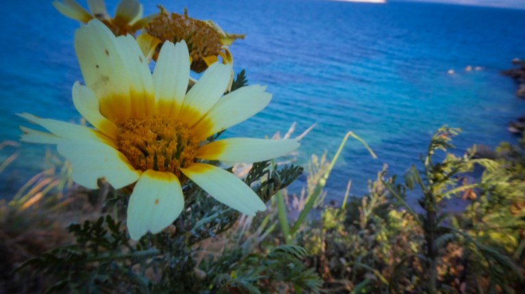 Καιρός