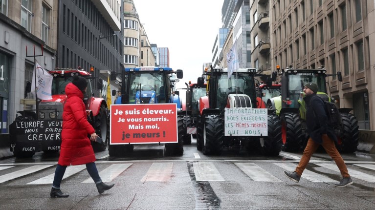 ΒΡΥΞΕΛΛΕΣ ΑΓΡΟΤΕΣ