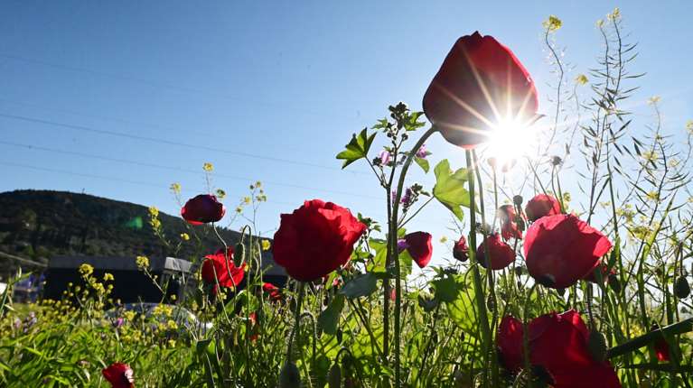 Μερομήνια 2025: Πώς θα είναι ο καιρός το Πάσχα και την Πρωτομαγιά