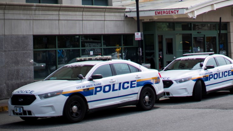 police ΗΠΑ