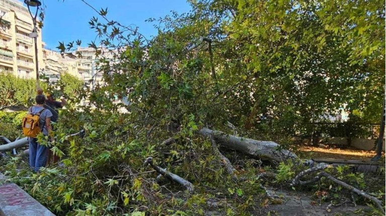ΔΕΝΤΡΟ ΘΕΣΣΑΛΟΝΙΚΗ