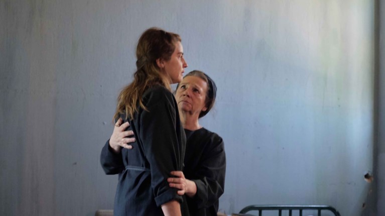 ΑΓΡΙΕΣ ΜΕΛΙΣΣΕΣ