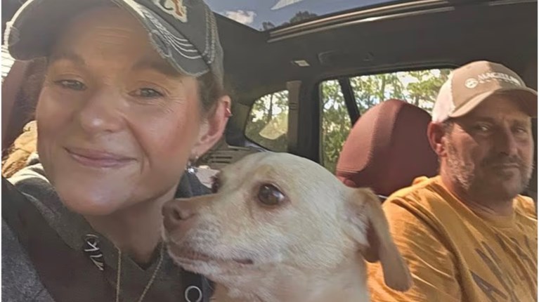 σκυλακι ηπα