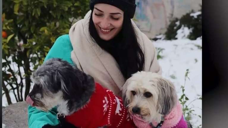 Κύθνος: Τραγωδία με θύματα ανυπεράσπιστα ζώα καταγγέλλουν φιλόζωοι - &quot;Yπάρχει πολλή παραφιλολογία&quot;, λέει ο δήμαρχος