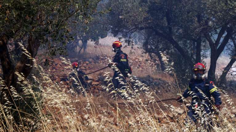 Φωτιά σε αγροτοδασική έκταση στην Παλαιόπολη Άνδρου - Ήχησε το 112