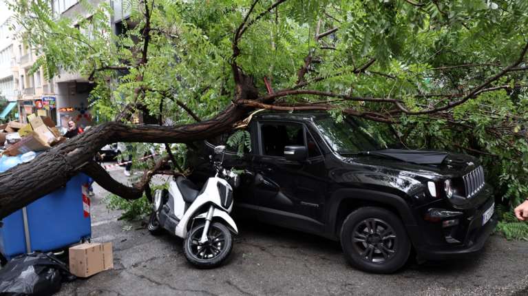 Κακοκαιρία: Πτώση δέντρου στο κέντρο της Αθήνας - Ένας τραυματίας [εικόνες - βίντεο]