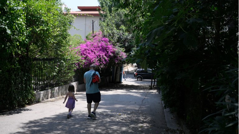 ζεστη