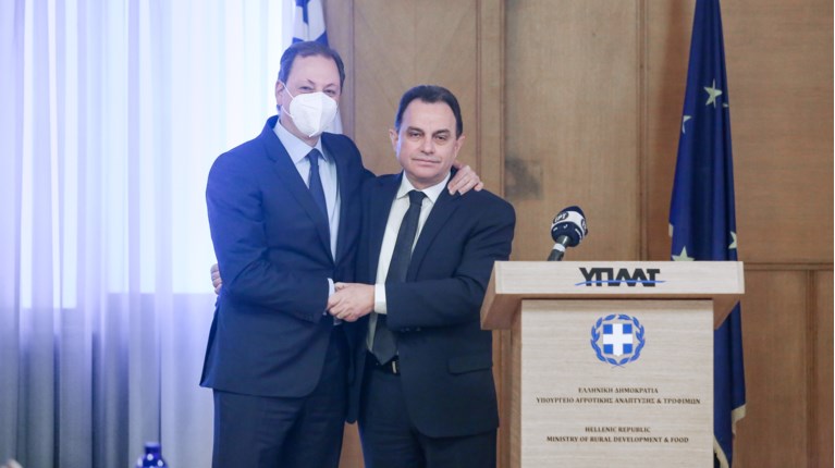λιβανός γεωργαντάς