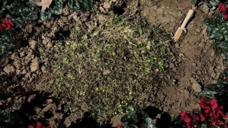 Θεσσαλονίκη: Άγνωστοι ξήλωσαν τη μαρμάρινη πλάκα για τις κακοποιημένες γυναίκες από τη Νέα Παραλία