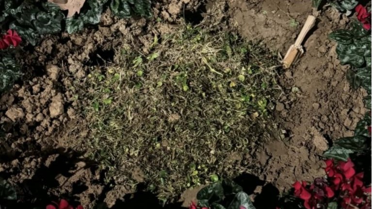 θεσσαλονικη