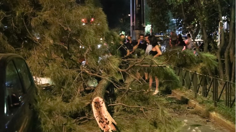 πτώση δέντρου
