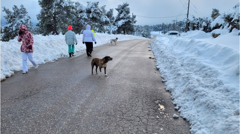 Χιόνια δρόμος