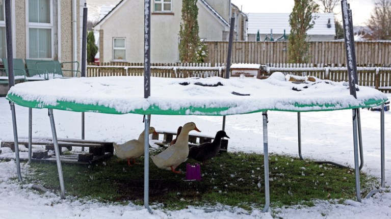 χιονια ιρλανδια