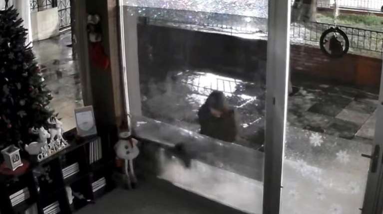 Ανατριχιαστική καταγγελία στη Νέα Φιλαδέλφεια: Άνδρας κυνηγάει και αρπάζει αδέσποτες γάτες