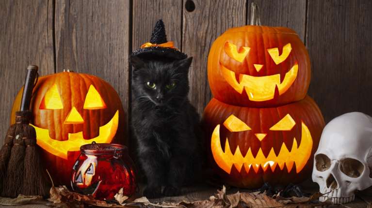 Halloween: H ιστορία της πιο τρομακτικής γιορτής και το έθιμο της κολοκύθας - Πώς και πότε ξεκίνησε