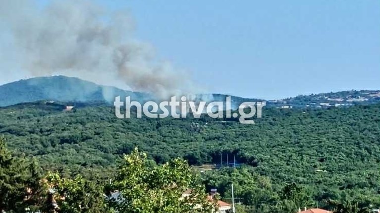 ΧΟΡΤΙΑΤΗΣ ΦΩΤΙΑ