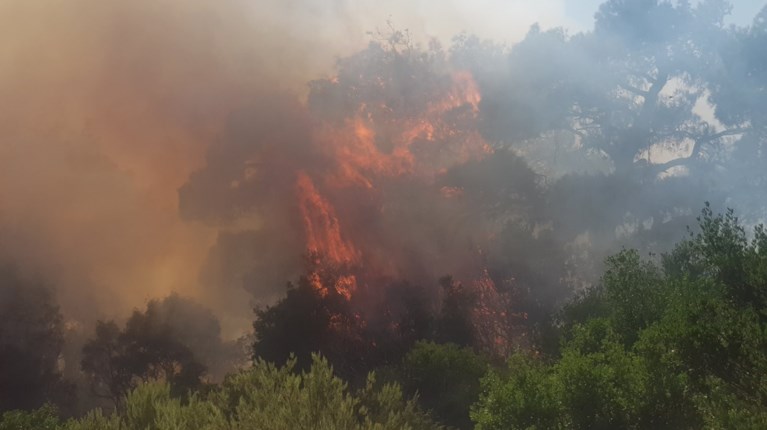 Φωτιά Έβρος