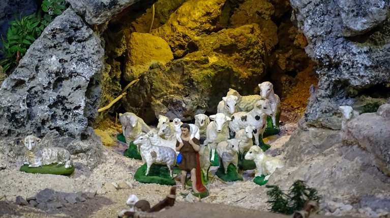 A Promise to Animals: Η… φάτνη της κοινωνίας μας