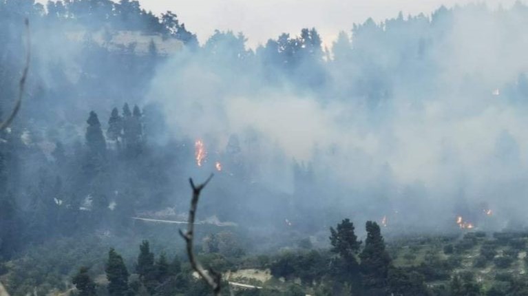 Χαλκιδική φωτιά