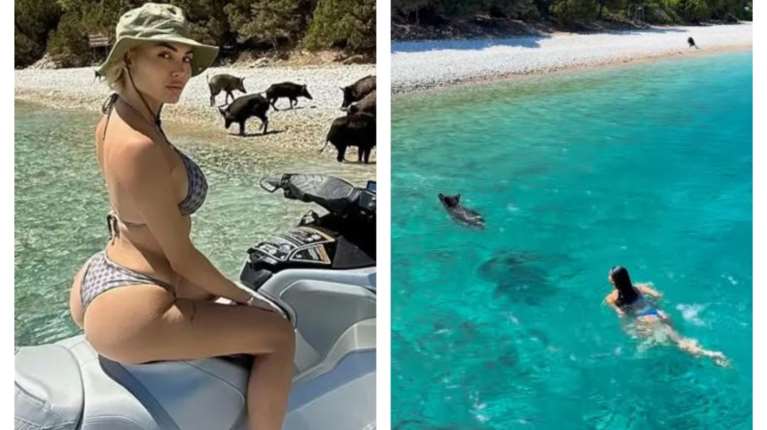 Αλεξάνδρα Παναγιώταρου - Δήμητρα Αλεξανδράκη: Στην Ατοκο με τα γουρουνάκια - "Ό,τι πιο όμορφο έχουν δει τα μάτια μου"