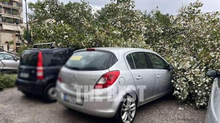 Πάτρα: Ισχυροί άνεμοι ξερίζωσαν δέντρα στο ναό του Αγίου Ανδρέα- Ζημιές σε αυτοκίνητα