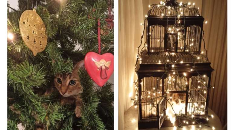 To στολίδι που έχετε στο σπίτι σας και μπαίνει μόνο του στο Χριστουγεννιάτικο δένδρο